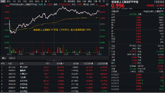 豆包重磅更新，AI继续猛攻！星宸科技、富瀚微20CM涨停，创业板人工智能ETF华宝（159363）收涨超2%领跑同类